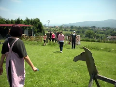 DSCN8291 DSCN8291