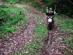 DSCN6276 DSCN6276