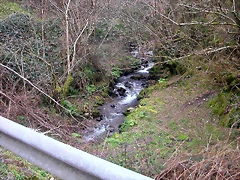 DSCN8161 DSCN8161