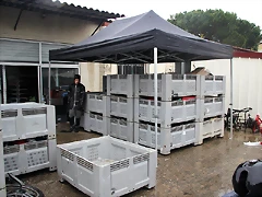 IMG_9202 IMG_9202