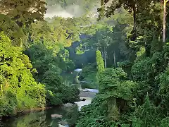 El interior de la selva de la ecorregi 2