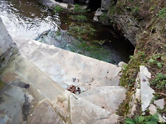 DSCN0577 DSCN0577