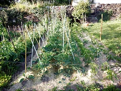 DSCN6819 DSCN6819