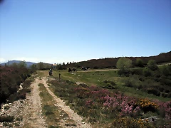 DSCF2545 DSCF2545
