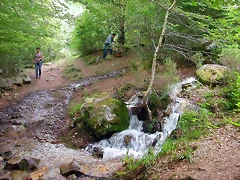 DSCN3872 DSCN3872