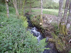 DSCN9333