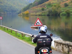 IMG_8714 IMG_8714