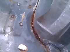 IMAG0774 IMAG0774