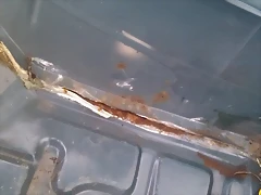 IMAG0775 IMAG0775