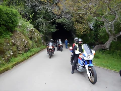 DSCN0156 DSCN0156