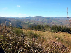 DSCN8963 DSCN8963