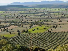 Agricultura en mosaico