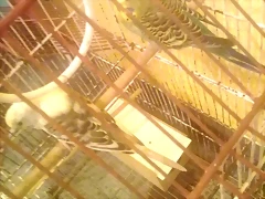 foto 5 foto 5