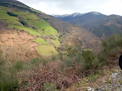 DSCN9249.JPEG DSCN9249.JPEG