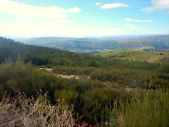 DSCN8649 DSCN8649