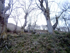 DSCN9099 DSCN9099