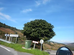 DSCN4737 DSCN4737