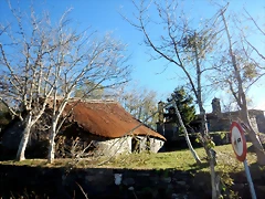 DSCN0262