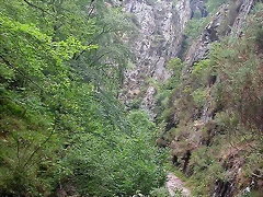 DSCN3768 DSCN3768