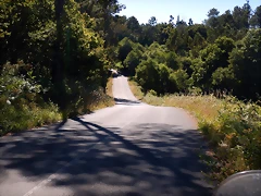 DSCN9576 DSCN9576
