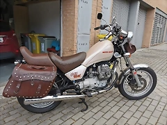 guzzi