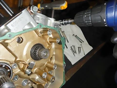DSCN1739 DSCN1739