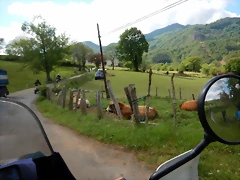 DSCN0592 DSCN0592