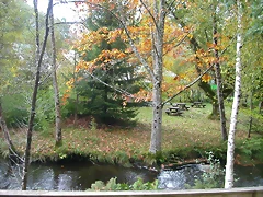DSCN5730