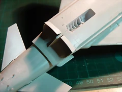 P1070817 P1070817