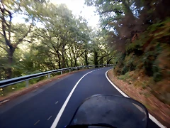 DSCN9205 DSCN9205