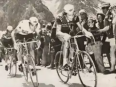 TDF-1975-ETA-18-JOS DE SCHOENMAECKER-MERCKX-ZOETEMELK