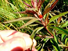 DSCN5801 DSCN5801