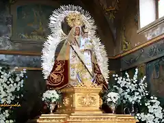 020, la virgen 1, marca