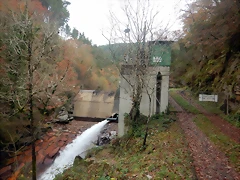 DSCN3114 DSCN3114