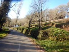 DSCN2960 DSCN2960