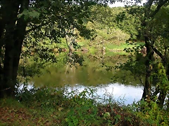 DSCN5293 DSCN5293