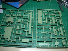 DSCN3524 DSCN3524