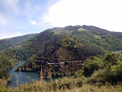 DSCN1254 DSCN1254