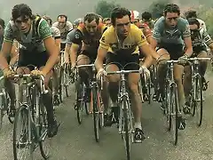 Bernard_Hinault_1979