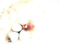 IMG_20170719_211110 IMG_20170719_211110