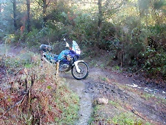 DSCN7483 DSCN7483