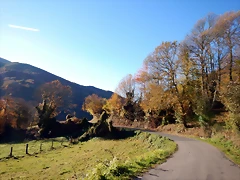 DSCN9453 DSCN9453