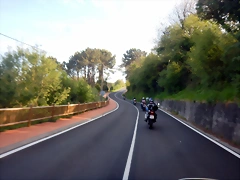DSCN4981 DSCN4981