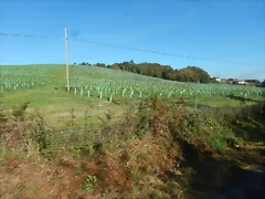 DSCN4563 DSCN4563