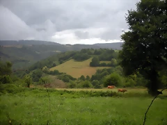 DSCN4736 DSCN4736