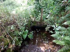 DSCN7461 DSCN7461