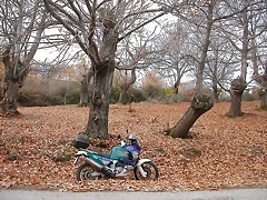 DSCN9519 DSCN9519
