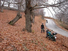 DSCN9520 DSCN9520