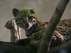 Zoo Lunaret + Sigean 18 i 19-09-10 843 Zoo Lunaret + Sigean 18 i 19-09-10 843