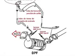 DPF NGV